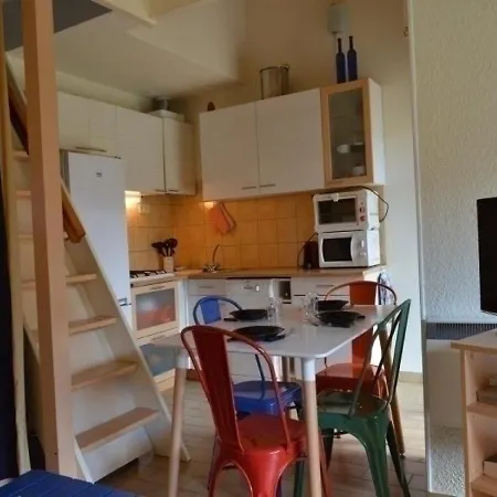 شقة Cap D'agde, 1 Piece, 4 Personnes - Fr-1-249-272